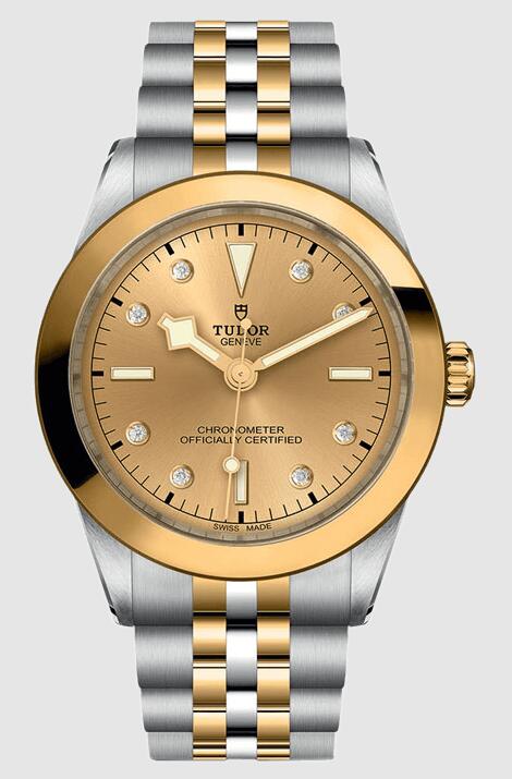 Tudor Black Bay 39 S&G 79663-0008 Replica Watch